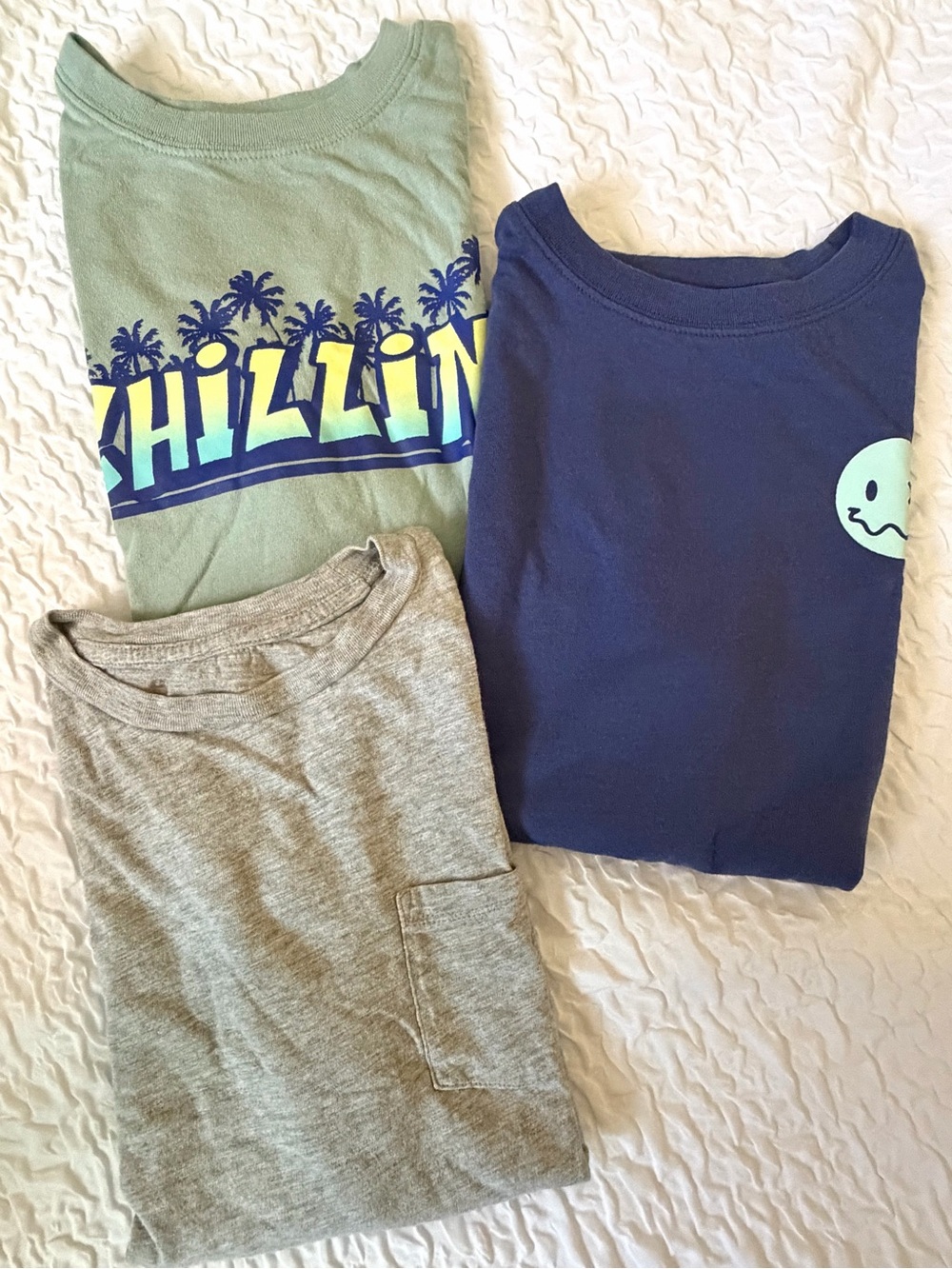 Assorted Brands Casual Tees Bundle of 3, Boys Large (10-12)